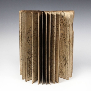 Fortune Teller's Book