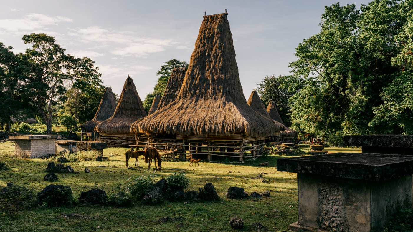 groups-history-peoples-sumba-history-sumba-people image 1