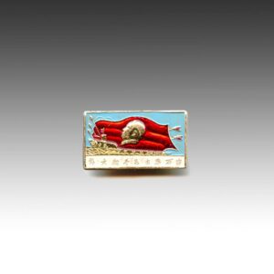 Chinese Mao Zedong Lapel Pin