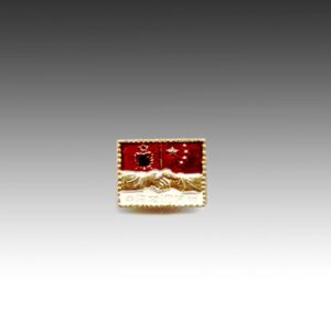 Chinese Mao Zedong Lapel Pin