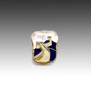 Chinese Mao Zedong Lapel Pin