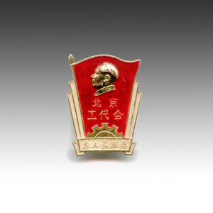 Chinese Mao Zedong Lapel Pin