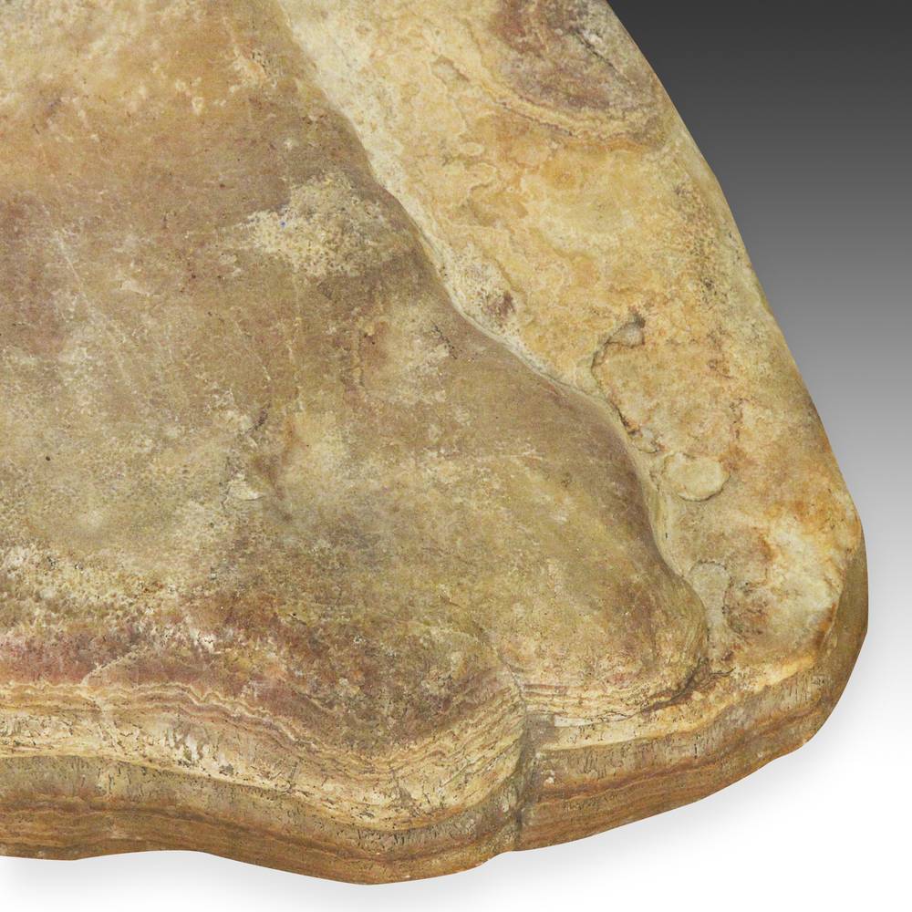 Chinese Gongshi or Scholar's Rock, Based - Image 5