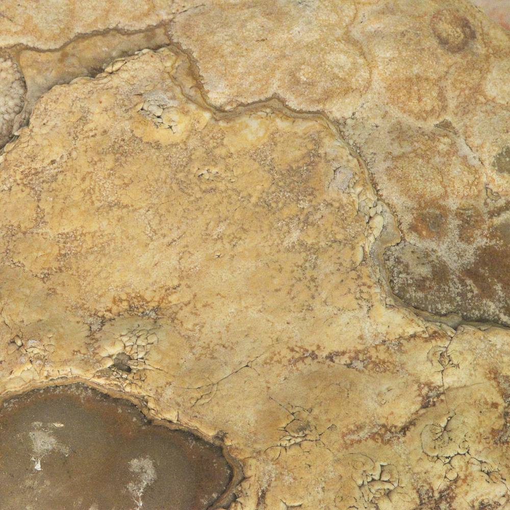 Chinese Gongshi or Scholar's Rock, Based - Image 8