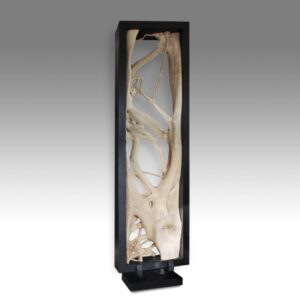Indonesian Natural Root Form, Framed & Based