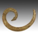 Indian Iron Tantric Lingam, India