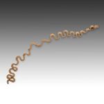 Indian Palanquin Arm Cover, India