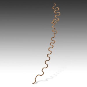 Nepalese Serpentine Form Vine