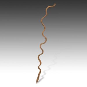 Nepalese Serpentine Form Vine