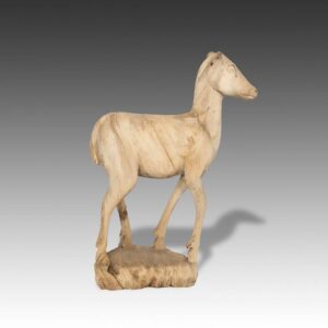 Thai Wood Deer