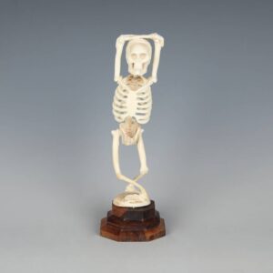 Thai Skeleton WITH Both Arms on Top of Head