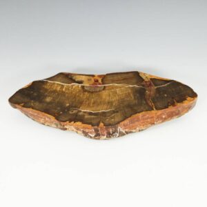 Malagasy Petrified Wood Object