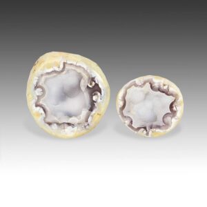 Agate / Crystal Geode