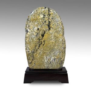 Chinese "Fossil Bamboo" on Hardwood Base