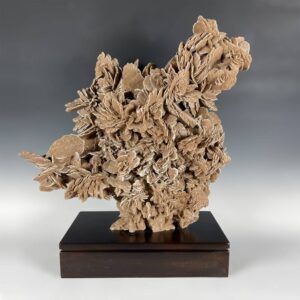 Chinese Desert Rose Gongshi on Hardwood Base