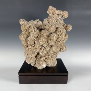 Chinese Desert Rose Gongshi on Hardwood Base