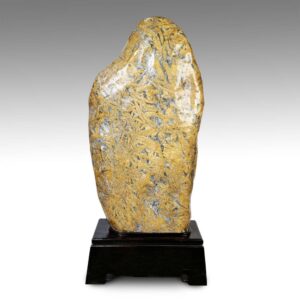Chinese Chrysanthenum Stone on Hardwood Base