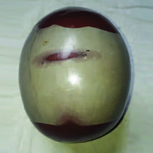 Indian Iron Tantric Lingam