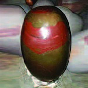 Indian Iron Tantric Lingam