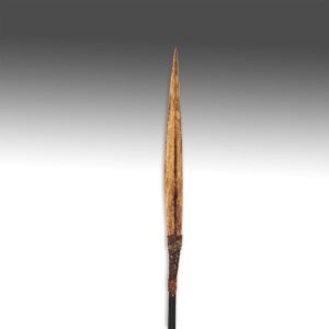 Papua New Guinean Era River Hunting Arrow