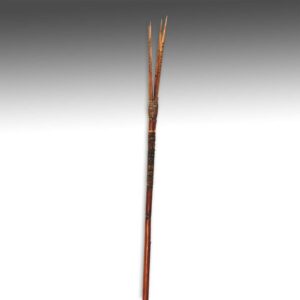 Papua New Guinean Era River Hunting Arrow with 4 Pronged Tip