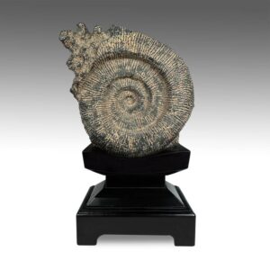 Chinese Scholar's Rock