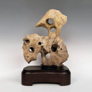 Chinese Scholar's Rock