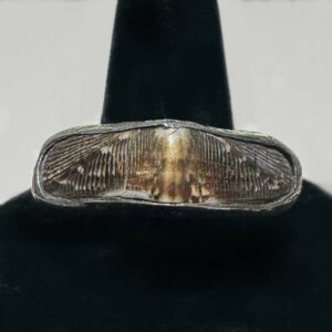 Indonesian Ring with Chiten Shell