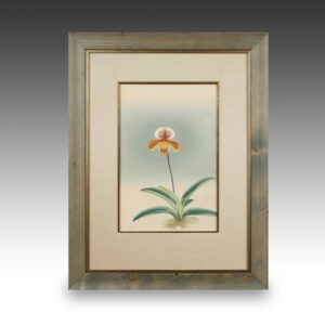 Japanese Woodblock Print: Ranka-Fu Orchid Series, Framed
