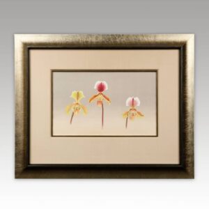 Japanese Woodblock Print: Ranka-Fu Orchid Series, Framed