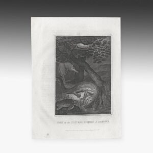 English Engraving