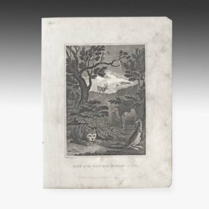 English Engraving