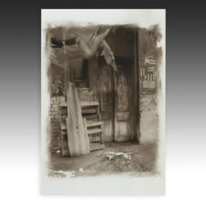 Sepia Photograph