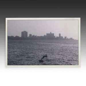 Black & White Photograph