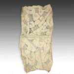 Mbuti Spear-Form Currency, Mbuti Peoples, Democratic Republic of Congo