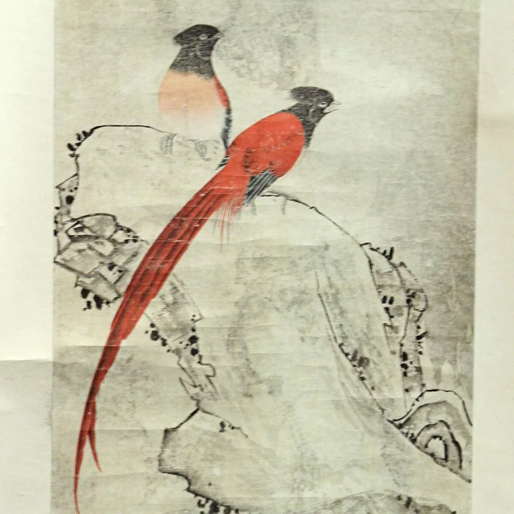 primitive-juliani-in-the-aviary